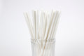 Paper Straw (White)