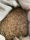 Indonesia Robusta Bean