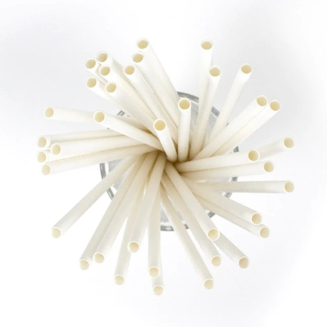 Paper Straw (White)